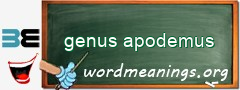 WordMeaning blackboard for genus apodemus